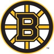 Boston Bruins Logo N3