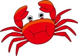 Shrimp Clip Art N8