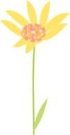 yellow camomile on a green stem on a white background