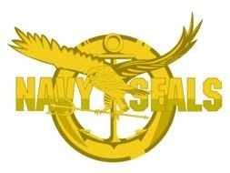 Logo Navy SEAL on a white background