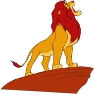 Simba 035