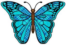 Colorful butterfly with the blue wings clipart