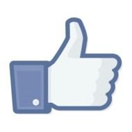 Like Us On Facebook Logo Vector