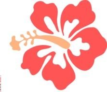 Hibiscus Flower Clip Art N14