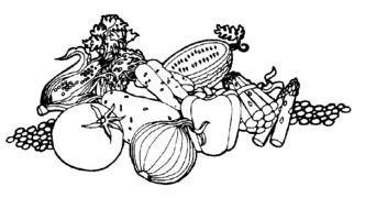 Free Clip Art Vegetables Black And White drawing