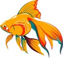 Gold Fish Clip Art N4