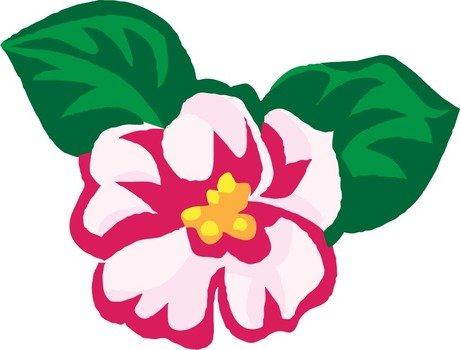 İllustration of Pink flower