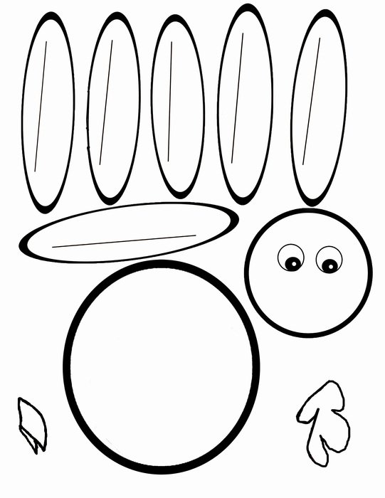 turkey shape pattern