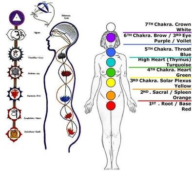 7 Chakras