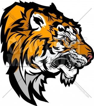 High School Tiger Mascot
