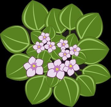 African Violet Clip Art N2