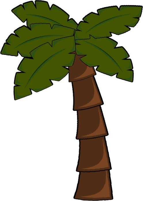 Palm Tree Leaf Clip Art N2