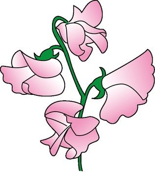 Sweet Pea Clip Art N7