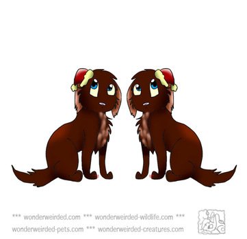 Christmas Cartoon Dog N2