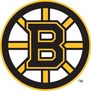 Boston Bruins Logo N3