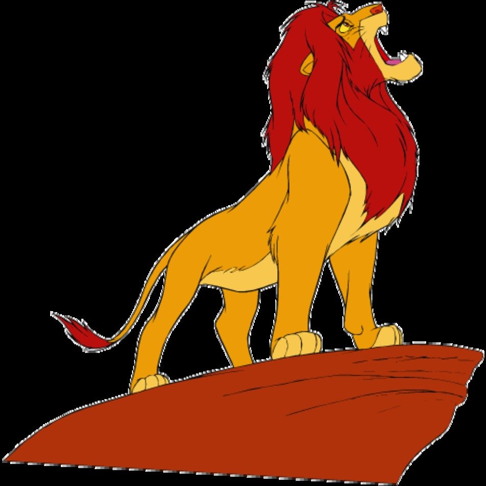 Simba 035