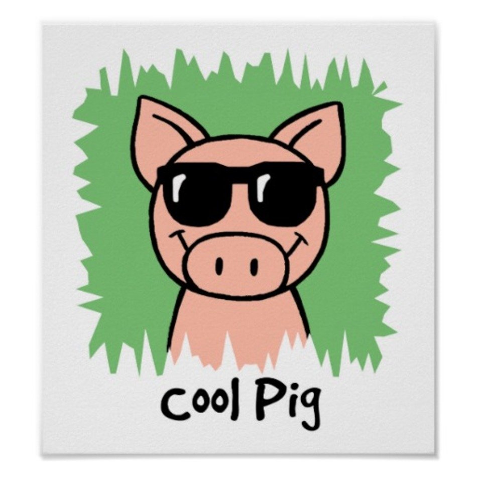 Pig Clip Art N32