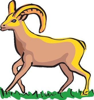 Bighorn Sheep Clip Art