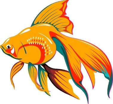 Gold Fish Clip Art N4