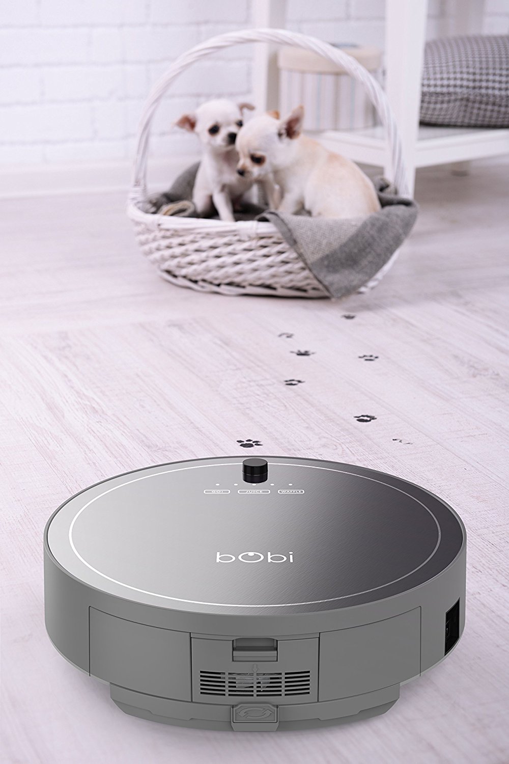 BObi Pet Robotic Vacuum Cleaner, Silver N13 free image download