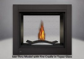 Napoleon BHD4STFCN Ascent Multi-View Direct Vent Gas Fireplace Up to 30 000 BTUs with Safety Screen Fire Cradle...