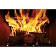 Earth's Flame Stainless Steel Wood-Burning Fireplace Grate/Insert, Model# EF36SS N3