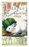 Michel Design Works Bunnies Matchbox