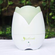 Aroma Essential Oil Mist Humidifier Ultrasonic Diffuser with LED Light and Auto Shut-off Function, 130ml N4