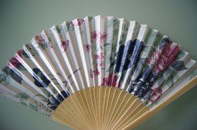 Traditional Chinese Folding Fan: White Silk Floral Pattern N2