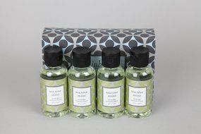 Rainbow TEA Tree Mint Fragrances (Pack of 4)