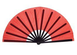 Chinese Nylon-Cloth Fan for Ladies (Black) N8