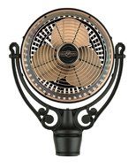 Fanimation FPH210AC Old Havana Motor Assembly, Antique Copper/Black N3