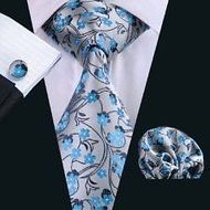 Dan Smatree Menโ&euro;s Silk Neckties Tie and Hanky and Cufflinks Sets N2