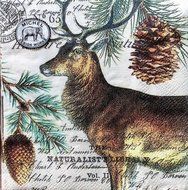 Michel Design Works Balsam Fir Cocktail Napkin 20 ct