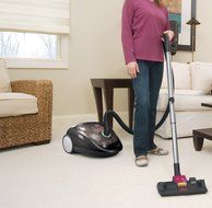 BISSELL Pet Hair Eraser Cyclonic Canister Vacuum, Bagless, 66T6