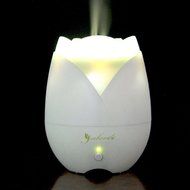 Aroma Essential Oil Mist Humidifier Ultrasonic Diffuser with LED Light and Auto Shut-off Function, 130ml N5