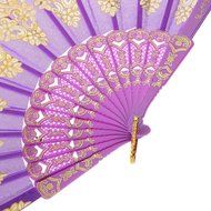 Chinese Foldable Trim Hand Fan Wing Chun Dancing Fan - Purple N5