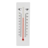 Themometer Diversion Safe by Safety Technology