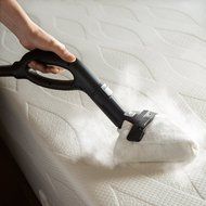Reliable Brio 500CC Steam Cleaning System N5