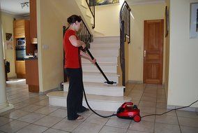 Ewbank SC1000 Steam Dynamo Cleaner for Chemical-Free Cleaning N20