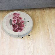 Infinuvo CleanMate QQ6 Robotic Vacuum Cleaner with HEPA Filter N13