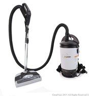 NEW Fully Loaded More Powerful Sierra 6 QT Backpack Electric Power Head N4