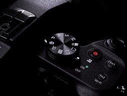 Panasonic LUMIX DMC-FZ1000 Digital Camera - International Version (No Warranty) N5