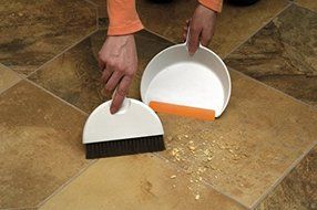 Bissell Smart Details Brushwares Dustpan Set, Mini N5