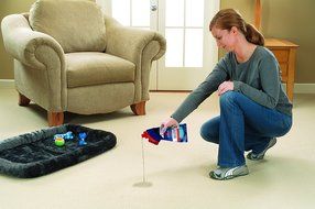 Bissell Oxy Stain Destroyer Pet with Brush Head Cleaner, 1766 N3