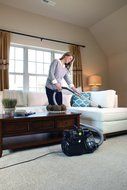 Electrolux EL4021A Black Silent Performer Cyclonic Bag less Canister Vacuum includes cleaning tools with 3-in-... N4