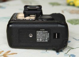 Canon EOS 1Ds Mark II 16.7MP Digital SLR Camera (Body Only) N6