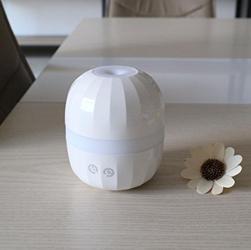 DZT1968 Essential Oil Diffusers Aroma Ultrasonic Cool Mist Humidifiers N10