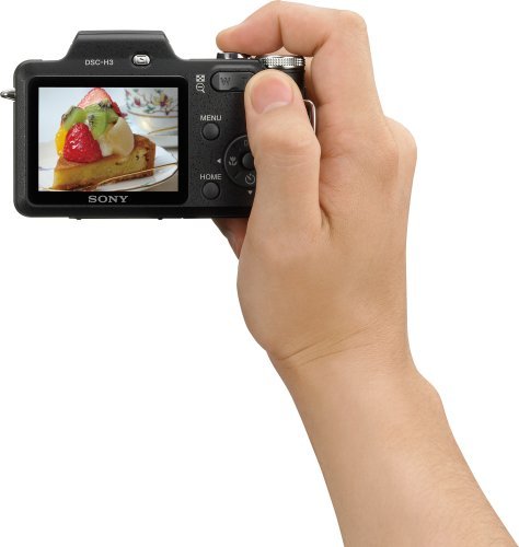 Sony Cyber-shot DSC-H3 8.1 MP Digital Camera with 10x Optical Zoom with Super SteadyShot Image Stabilization N13