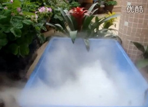 ELEOPTION 250W UMM-10 5KG/H 10 Head Ultrasonic Fogger Manufacturer Fogger Humidifier Greenhouse Aeromist Hydroculture... N4